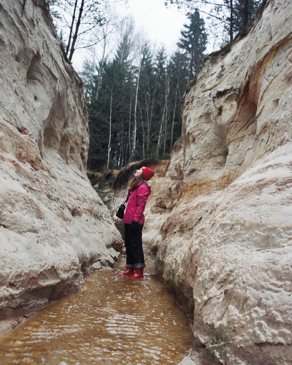 Фото автора