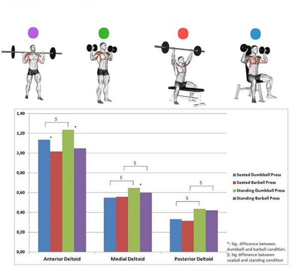 Многие люди, выполняя различные жимы сидя, либо стоя, думают, что тренируют средний пучок дельт. Хотелось бы пояснить почему я не считаю подобные упражнения подходящими для такой цели.-2