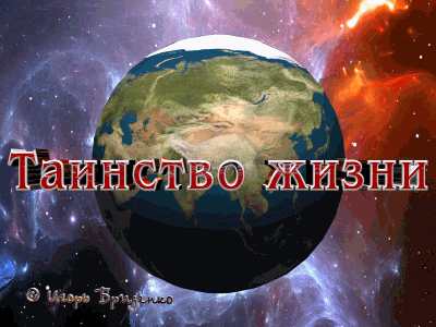 Автор 3D композиции Игорь Бриденко