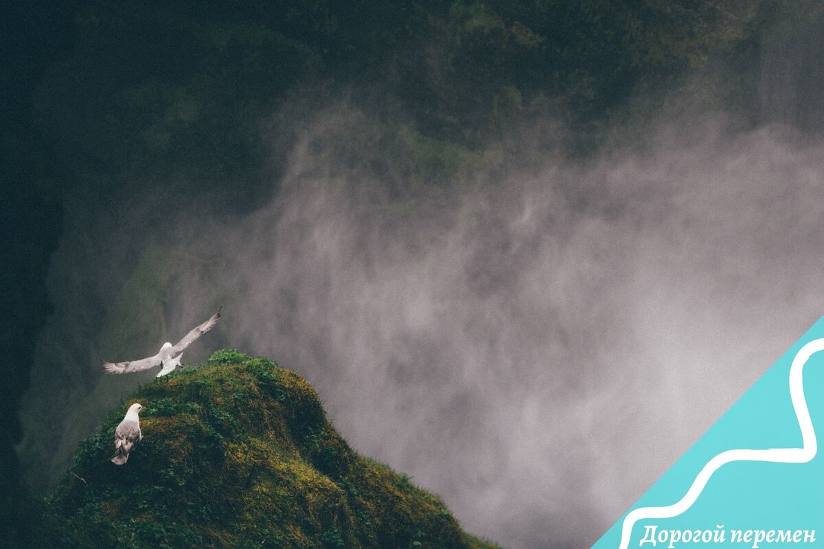 Всем нужен отдых