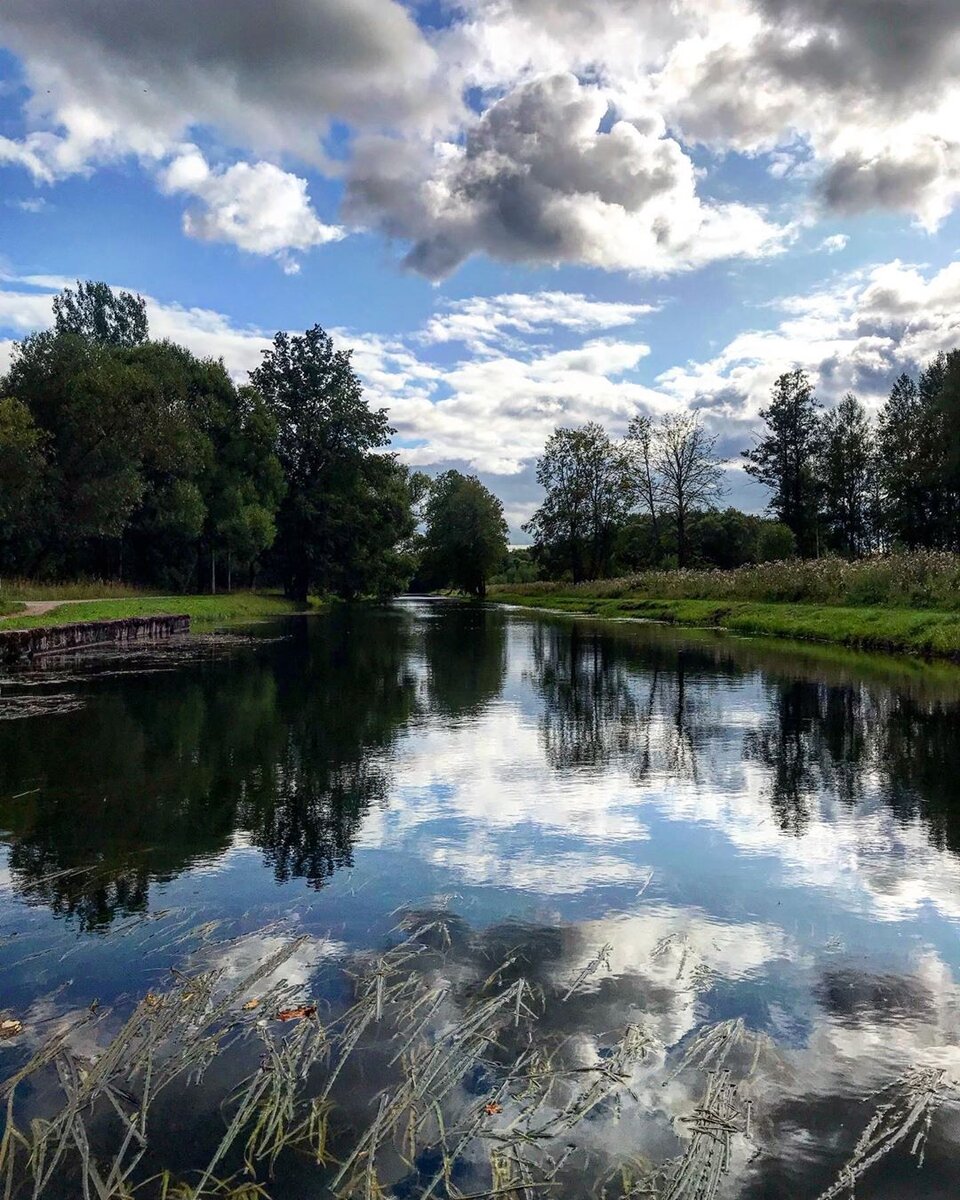 р. Шингарка из профиля https://www.instagram.com/lusishka/