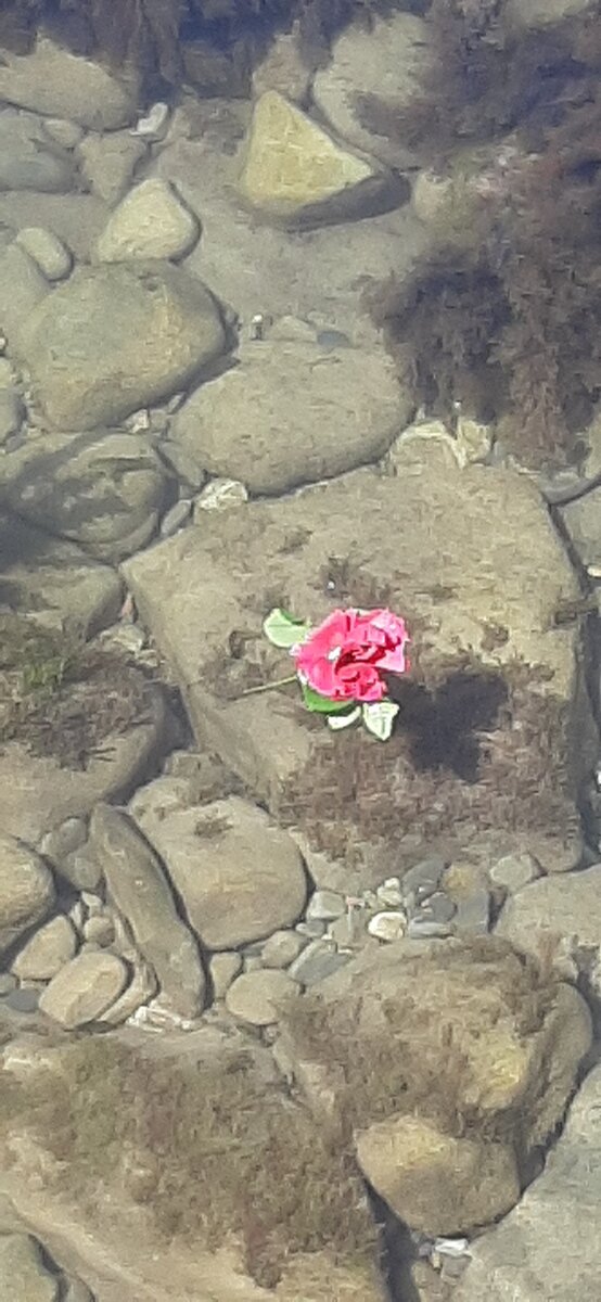 Прозрачное море