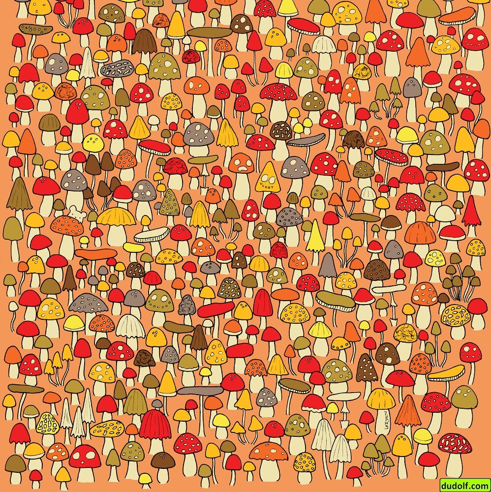 Credits: Gergely Dudás/Dudolf