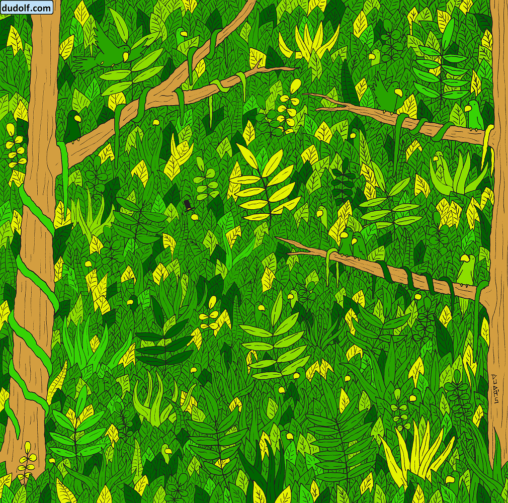 Credits: Gergely Dudás/Dudolf