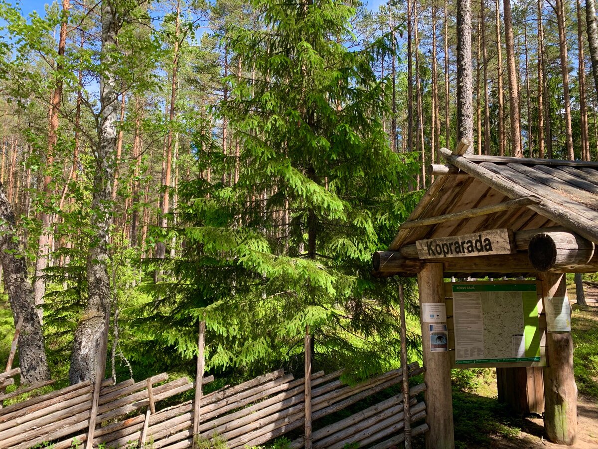Бобровая тропа (Koprarada)