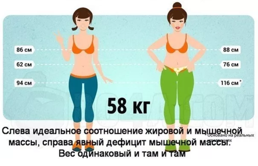 После насколько. Соотношение жира и мышц. Кг жира в организме женщины. Объем килограмма жира и воды в организме. Соотношение мышечной и жировой массы.