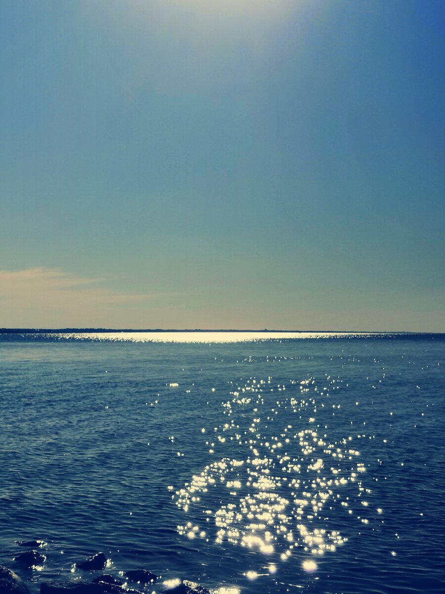 Финский залив 