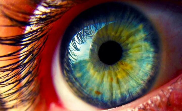 Фото взято из Яндекс Картинки