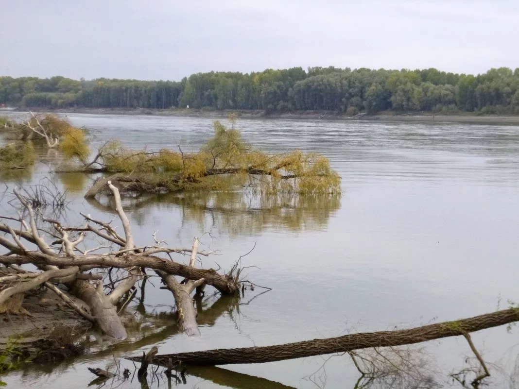 Картинка взята из Яндекс картинок  