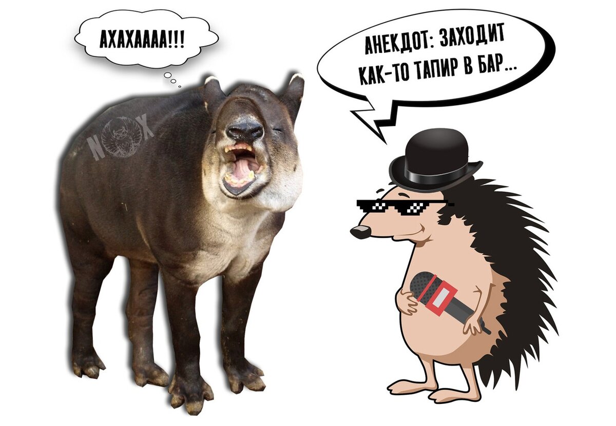 Иллюстрация: https://vk.com/ezhek_secrets