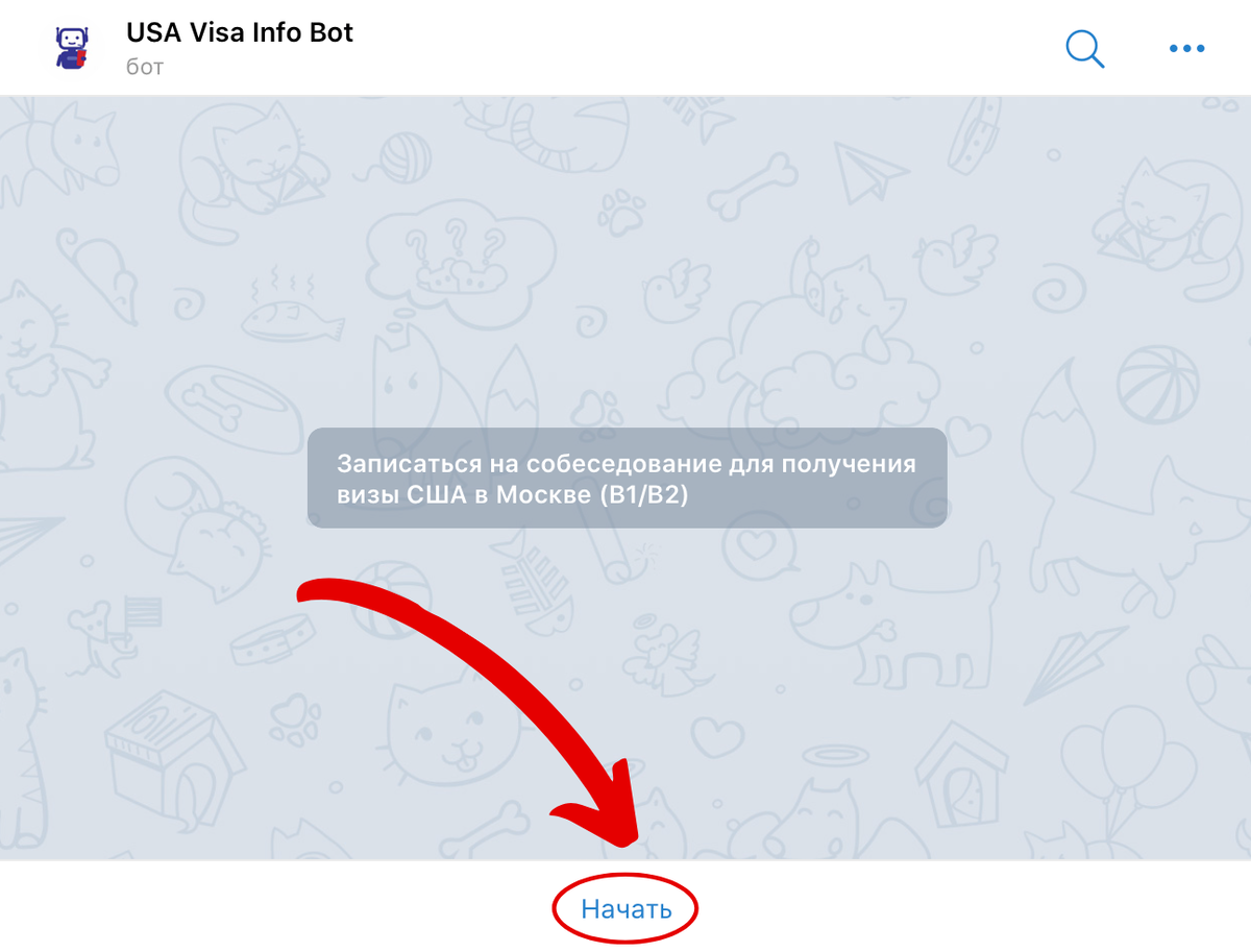 Инструкция к боту USA Visa Info Bot для записи на собеседование в посольство  США в Польше и Казахстане. | USA Visa Info Bot | Дзен