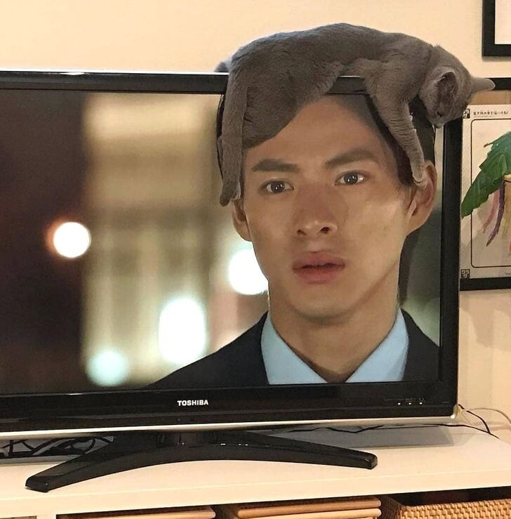 © Esus9 / reddit