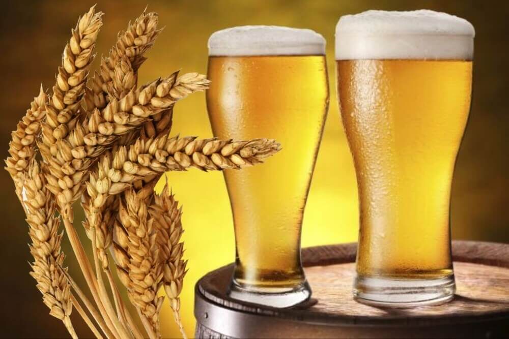 правильное употребление пива
