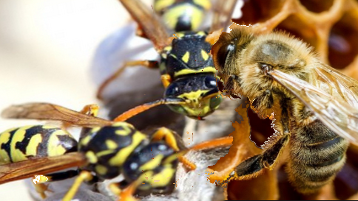Подписывайтесь на канал, чтобы не пропустить важное и ставьте лайки - этим вы помогаете каналу развиваться