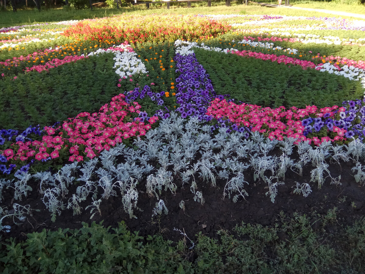 Цветы для моих любимых читателей