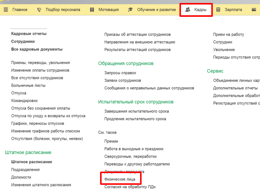 Рис.1 – Справочник физические лица