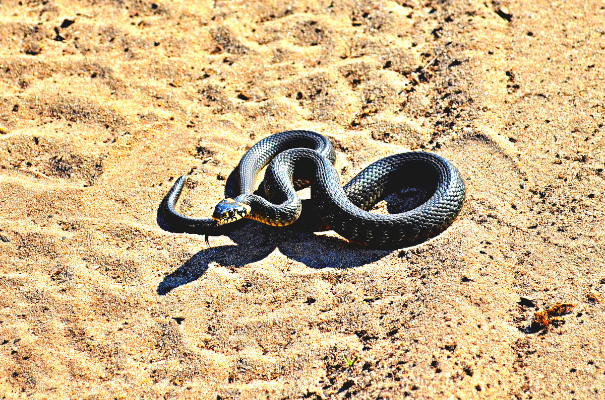 Это уж. Из открытых источников.