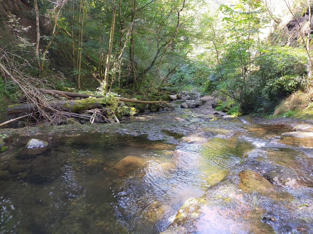 Вот здесь мы и шли)))