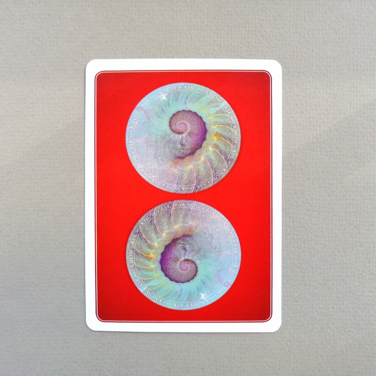 Личное фото автора.