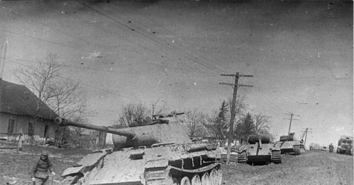 Фотография сделанная советскими корреспондентами.