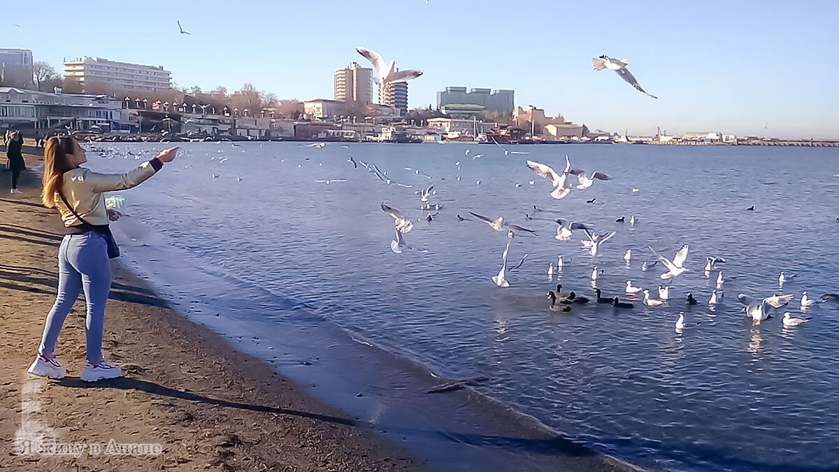 Любимое зимнее развлечение в Анапе - кормление птиц