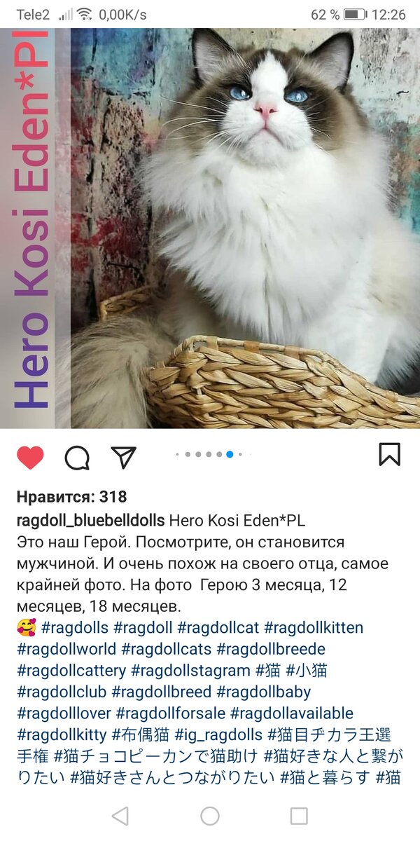 Наш избранник Герой!