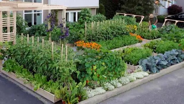 Красивый огород своими руками – 22 идеи по обустройству грядок | Вдохновение (yesband.ru)