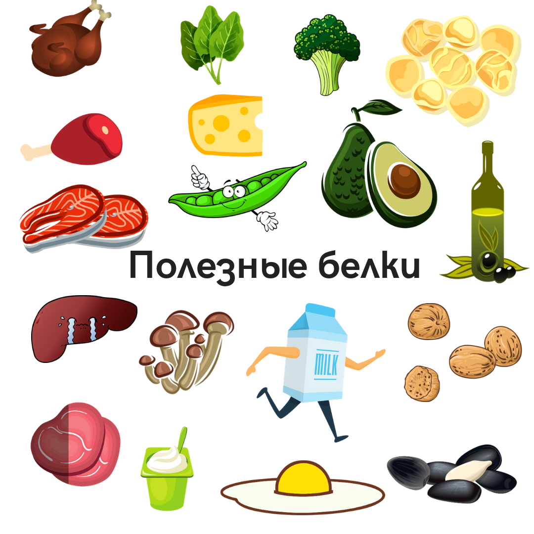 Список продуктов содержащих белок. Продукты питания с высоким содержанием белка. Белковые продукты. Белки список продуктов. Нужны белки для похудения.