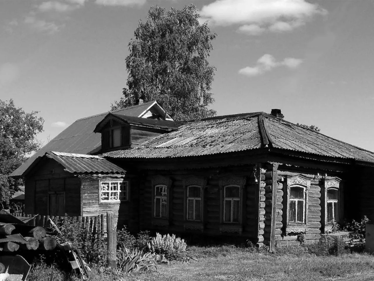 фото из открытого источника