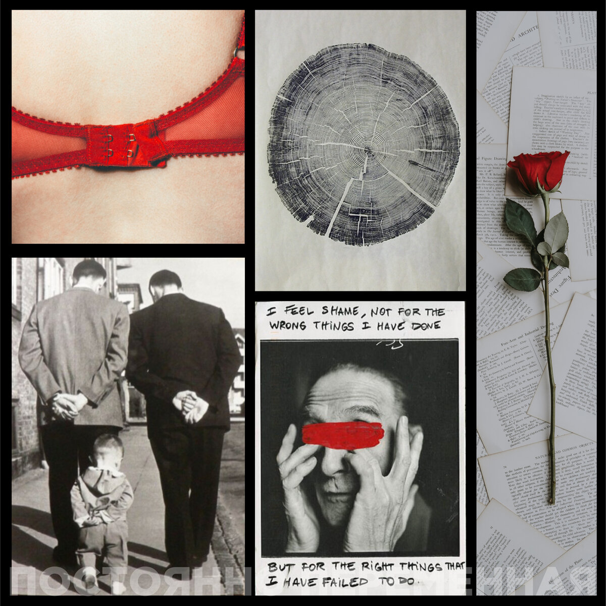 Автор собрал мудброд из картинок в интернете