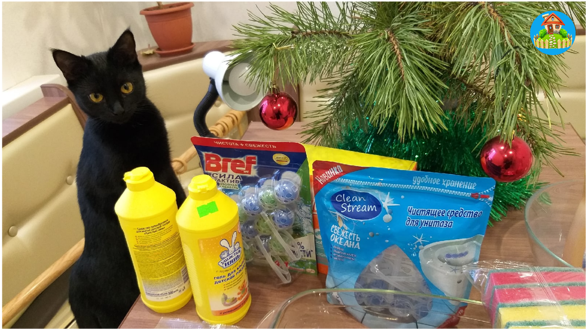 Кошка тоже тут как тут обследует покупки с интересом.