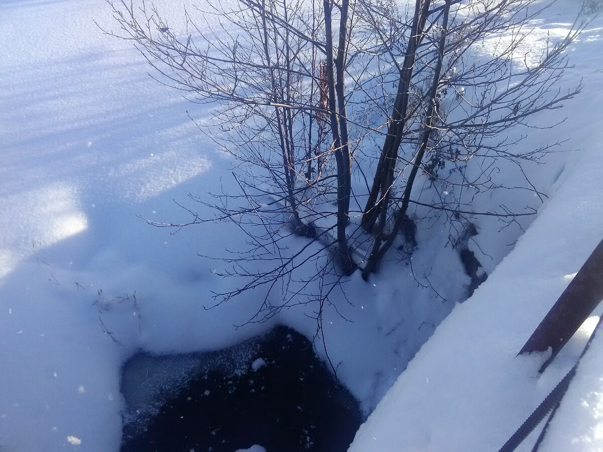 Вода вытекает из пруда и течёт под мостик на запруде, с которого я фотографирую.