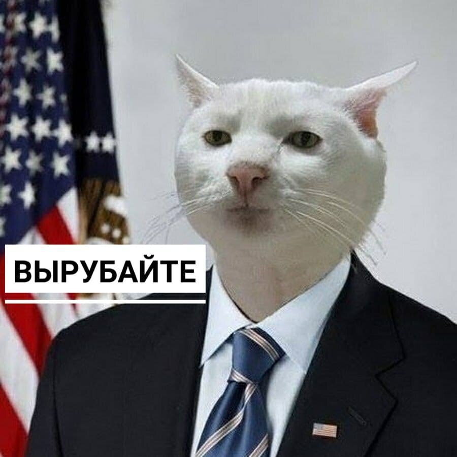 У Американцев интернет всегда был дорогим удовольствием а по показателям его предоставления уступал нашему.