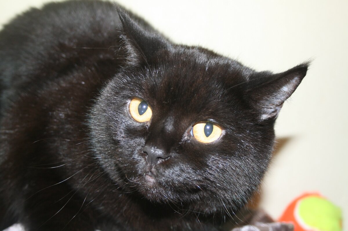 Гостья нашей гостиницы Варя