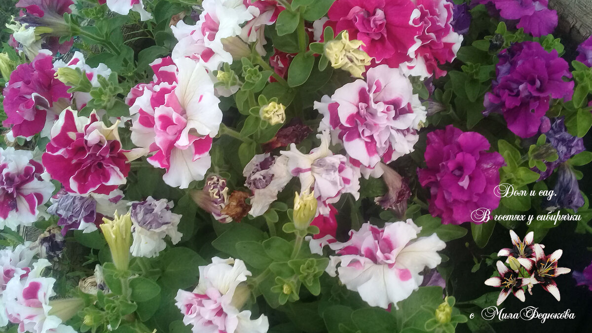 И не забывайте подписываться на мой канал, чтобы не пропустить новые статьи