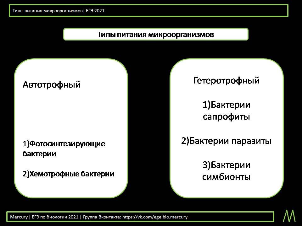 Типы питания микроорганизмов