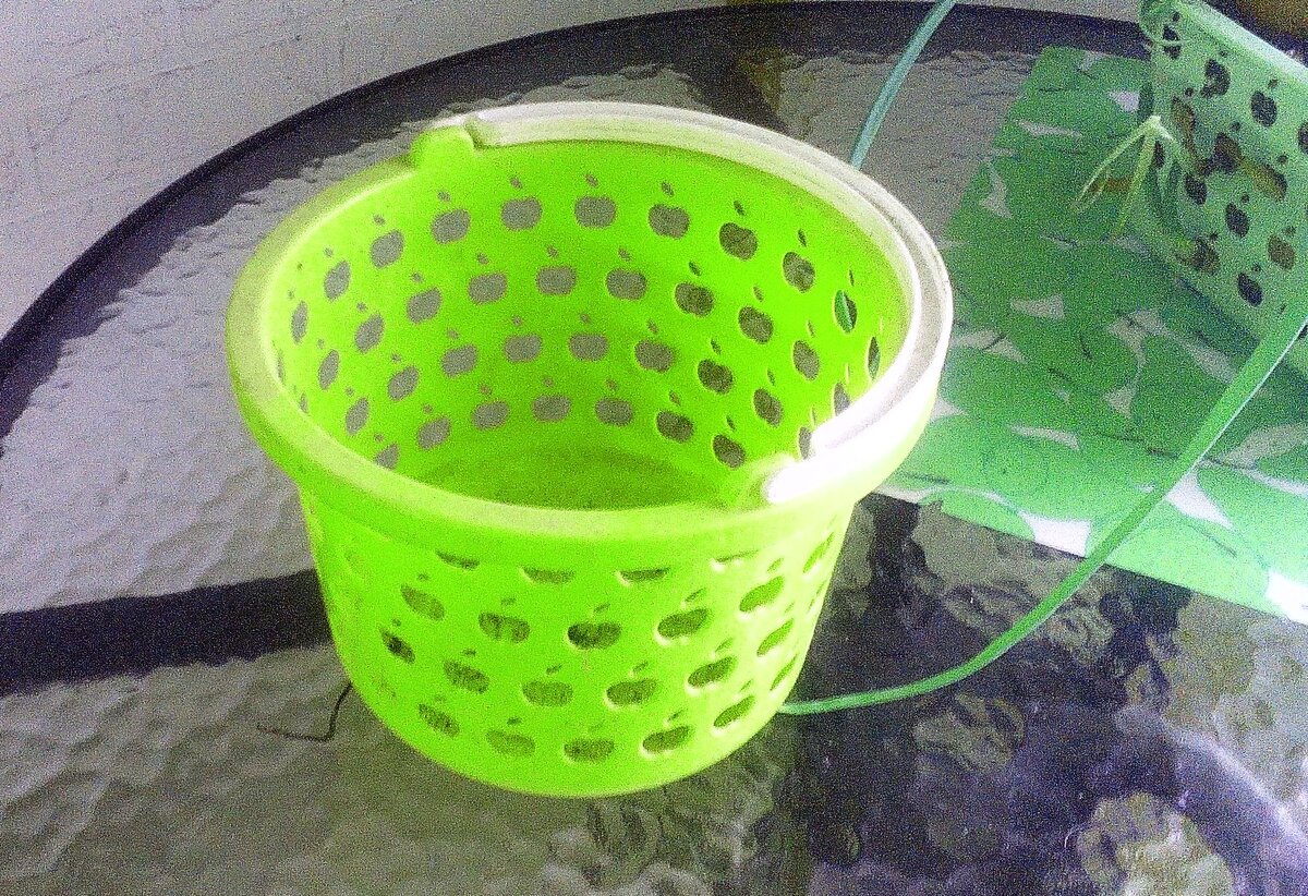 Свежая зелень