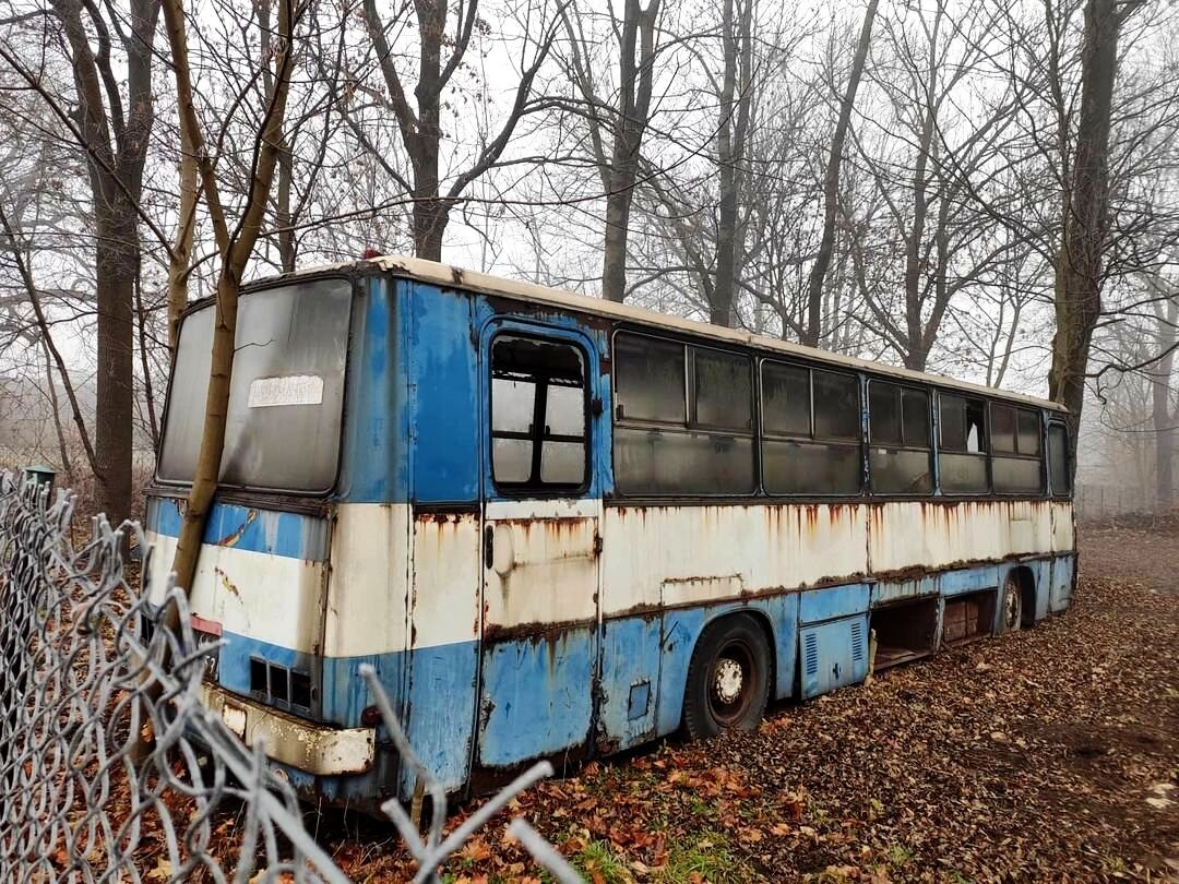 Брошенный Ikarus в Польше, который заставил поломать голову | Все о  грузовиках – Trucksplanet | Дзен