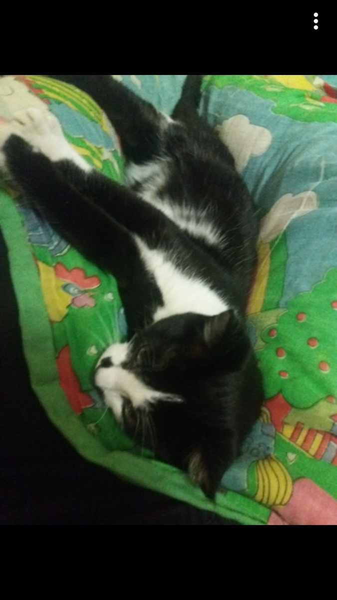 Вот такой он был