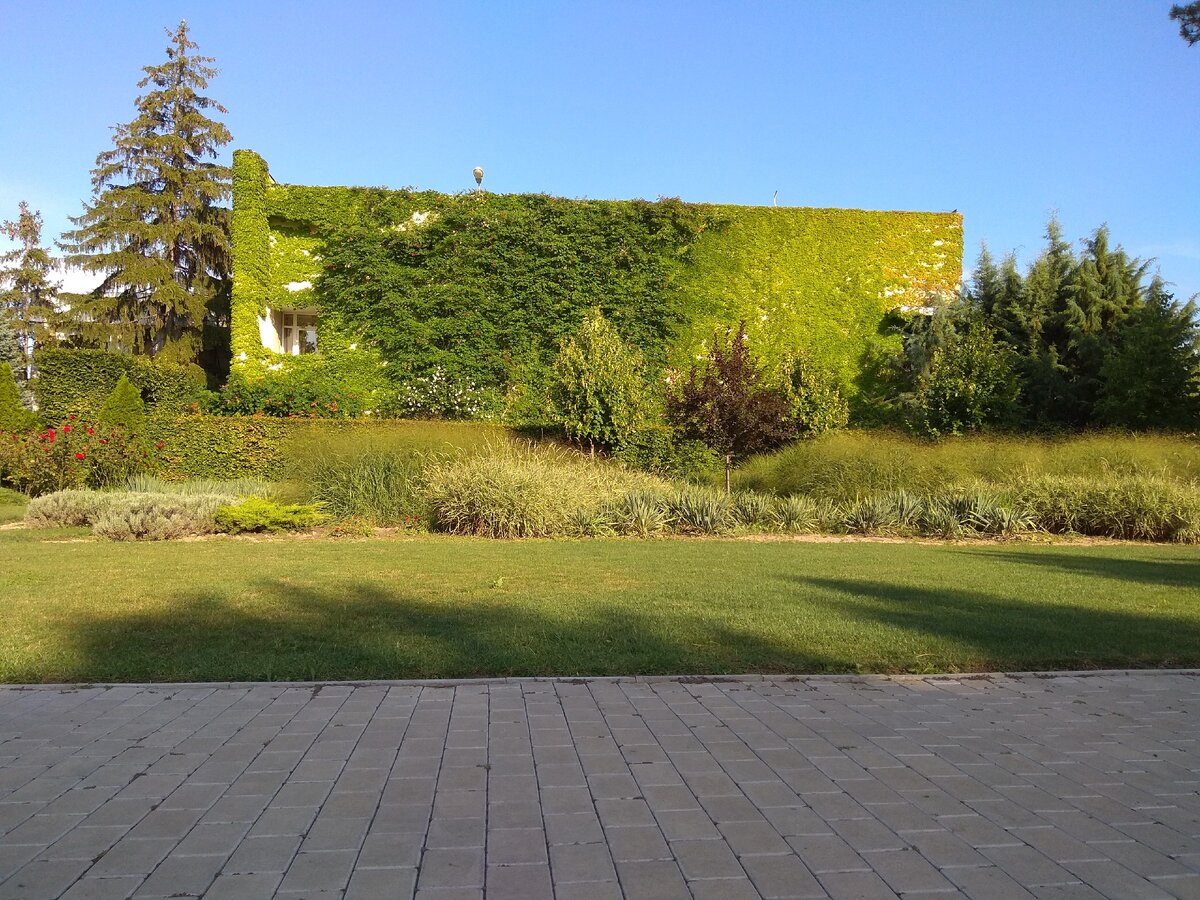 Черноморец, территория санатория. 