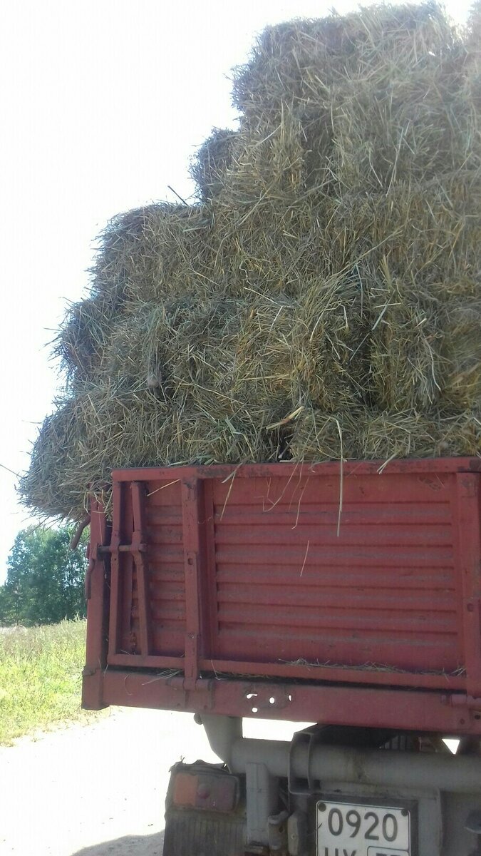 Очень много фотографий сена:)))