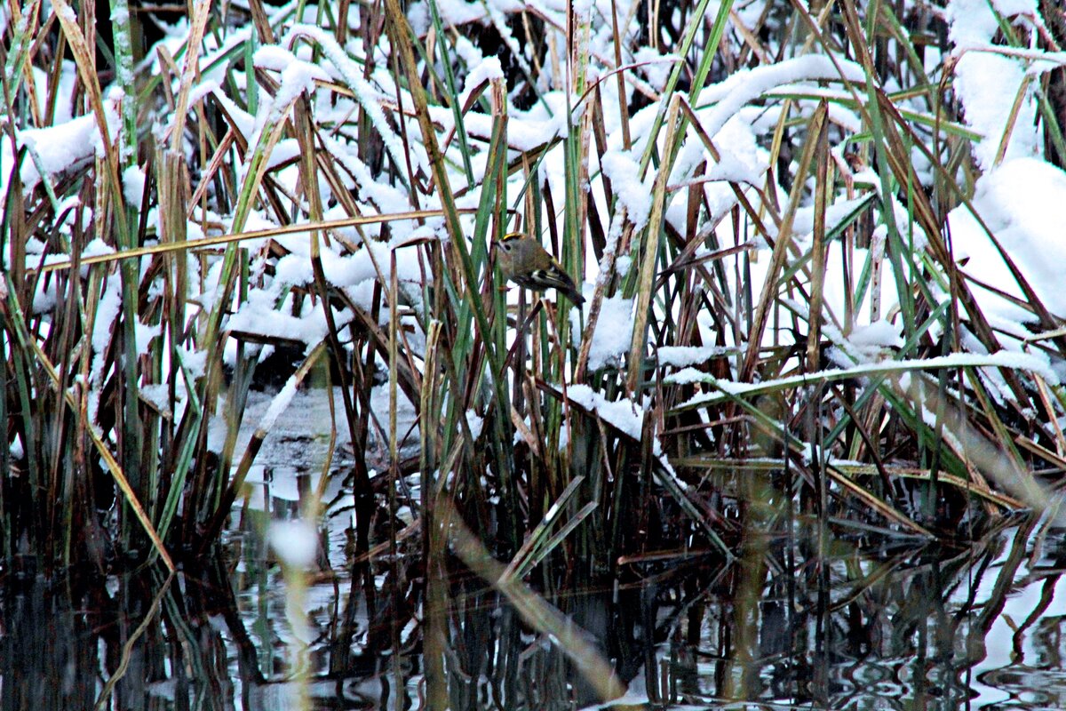 �&nbsp;������ ��������� ��������� ����� ������� �����. ����� 8-9 ����� ����, �&nbsp;������� ������, ��� ��&nbsp;����� ��&nbsp;����������!-3-2