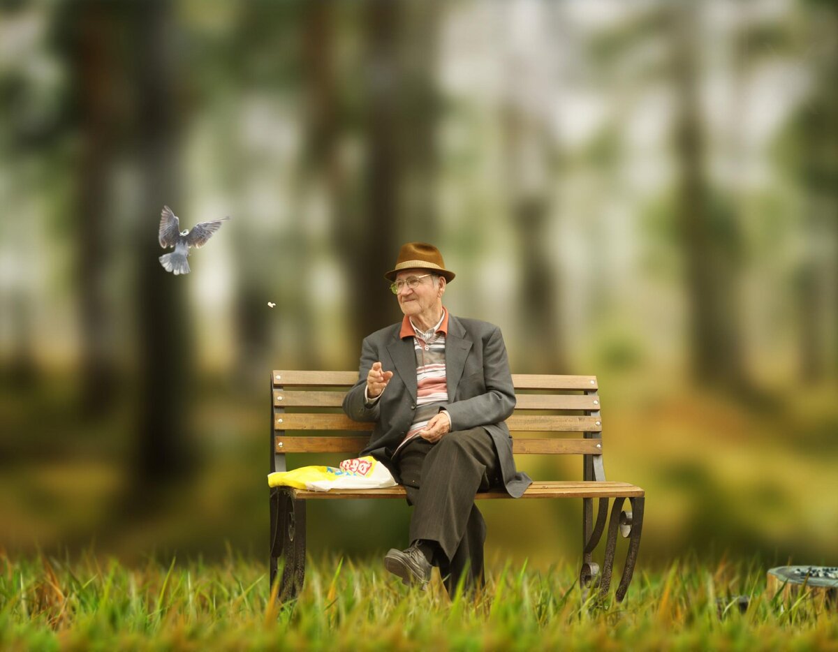 дедушка на скамейке и ушел