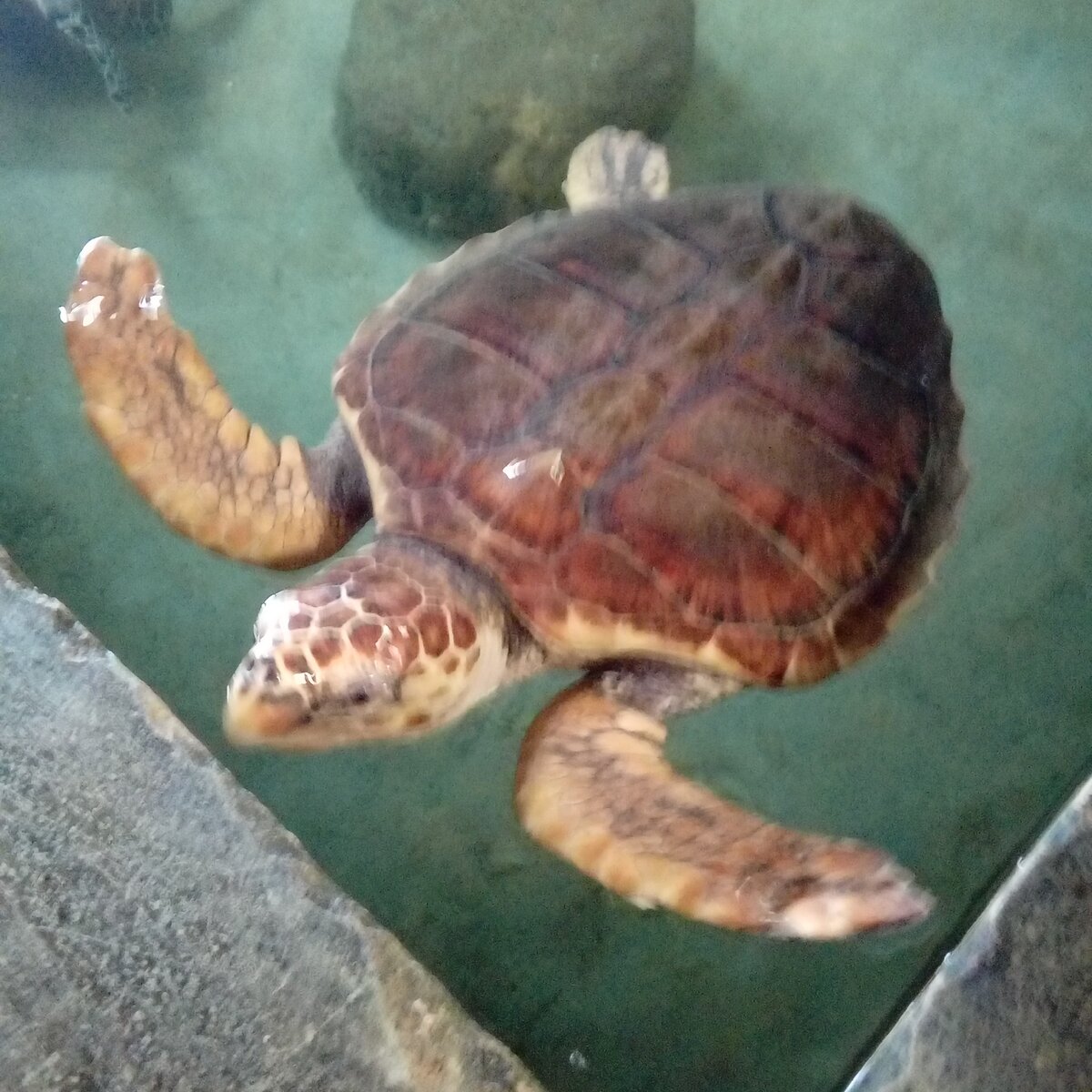 Фото автора.