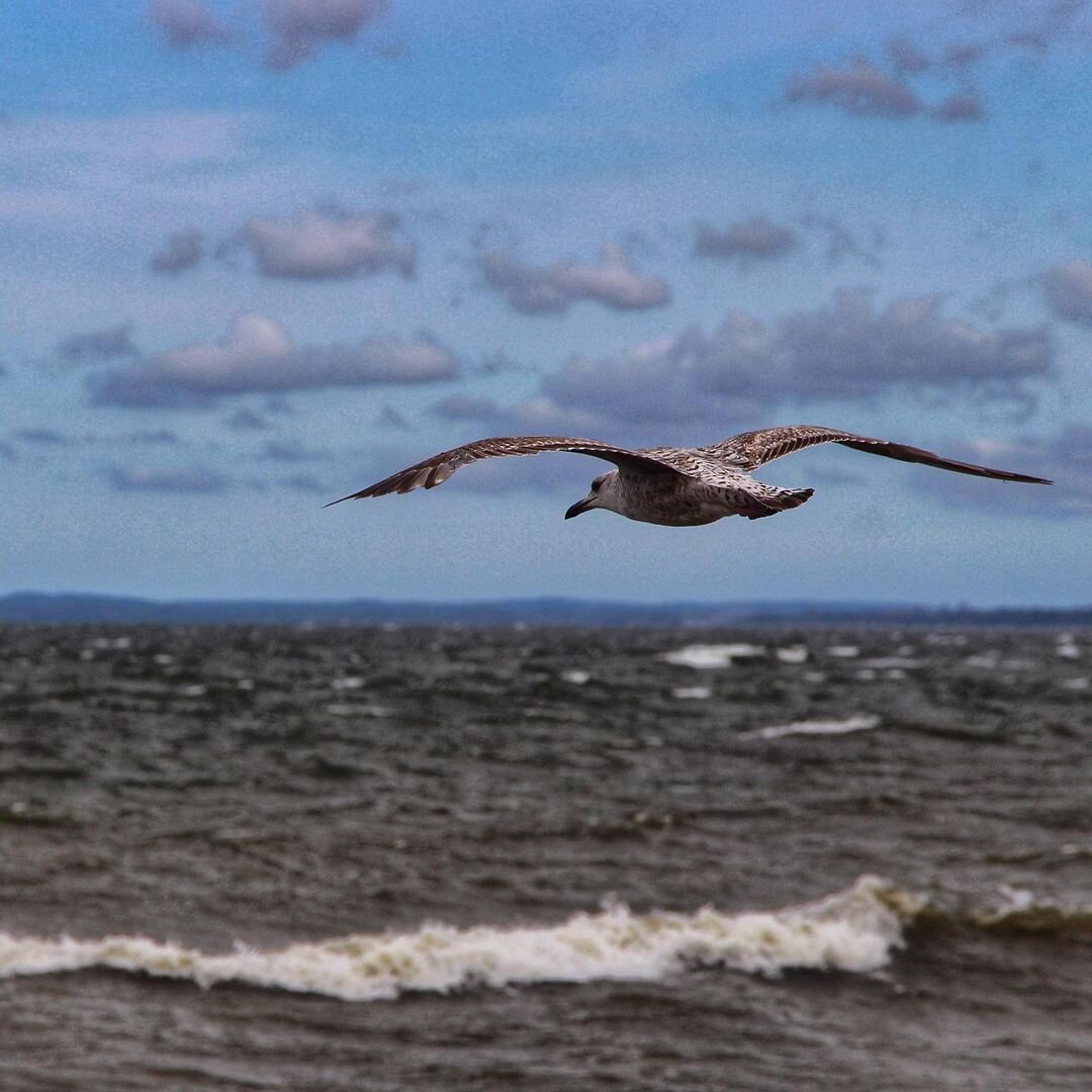 Для просмотра всей галереи фотографий нажмите на стрелочку в левой части изображения. Автор фото: Давид Дивайн. Ссылка на источник: https://www.instagram.com/daviddivine/