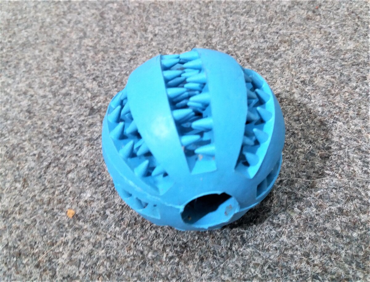 Фотот автора