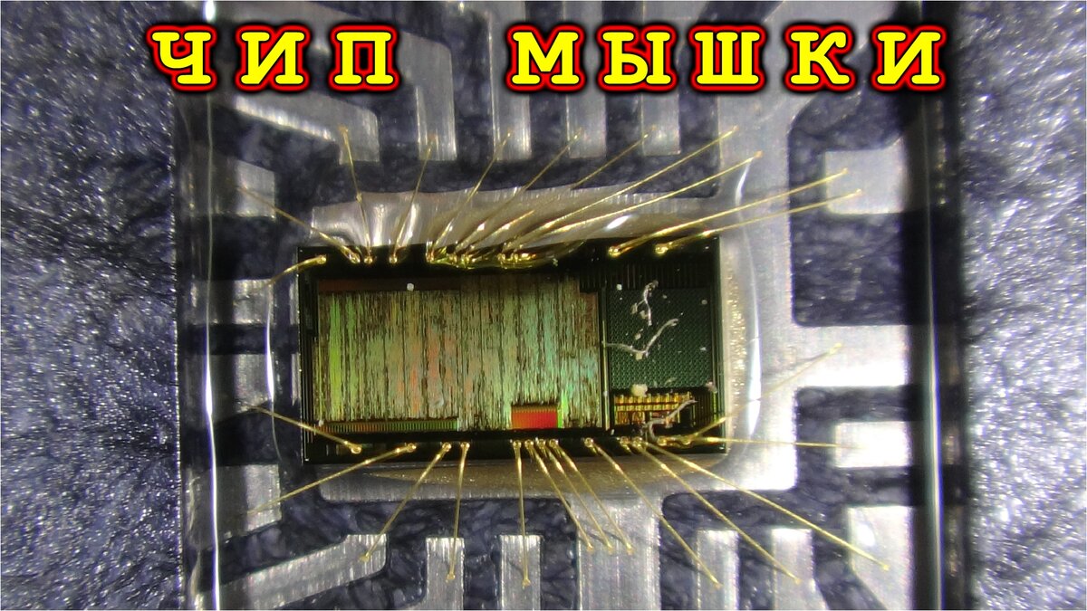 Что внутри компьютерной мышки обыкновенной
