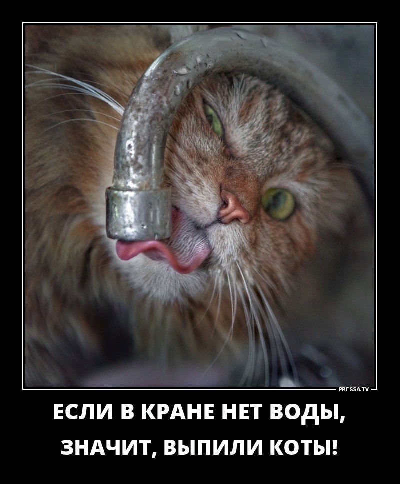Фото взято из источника yandex.ru