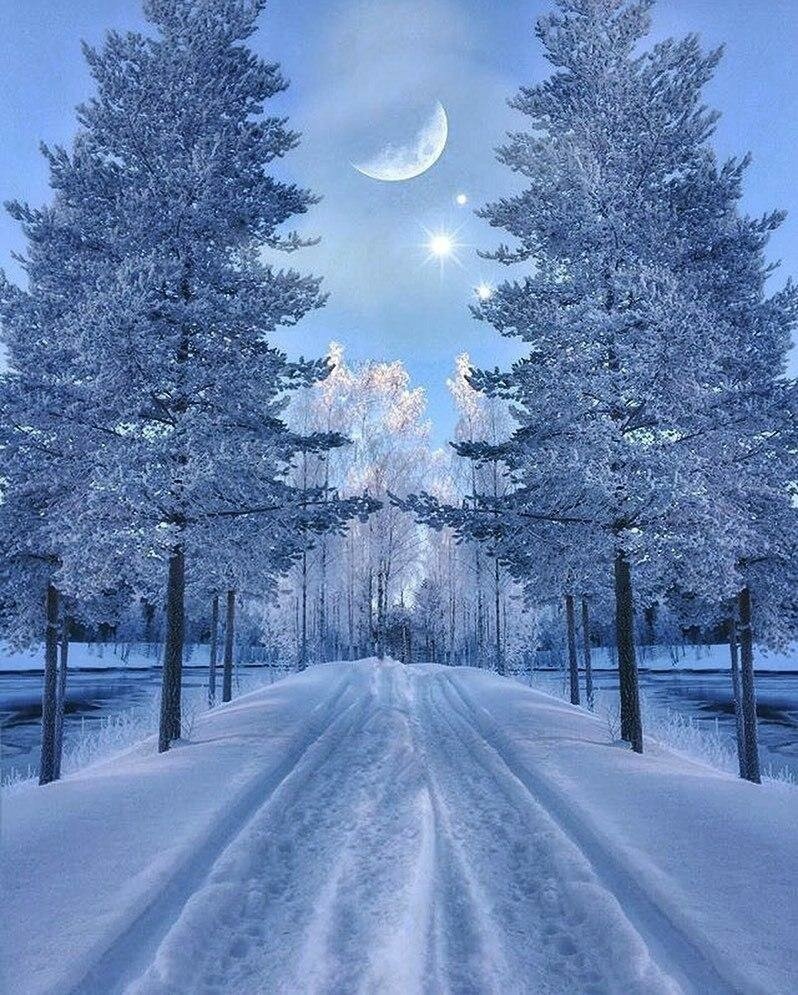 Картинка взята из открытых источников