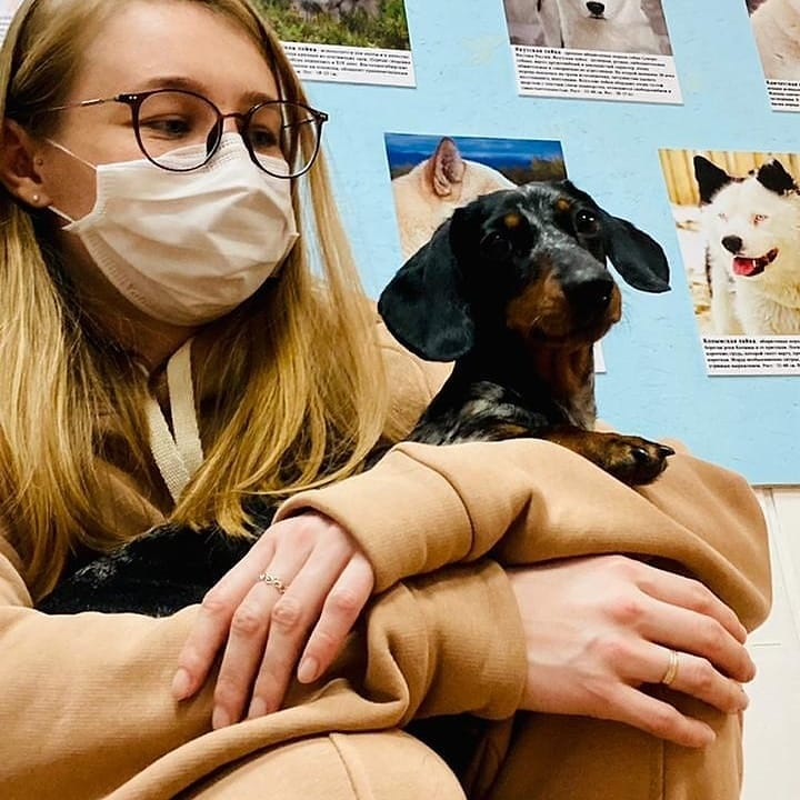 Айва с хозяйкой (фото Музея Собаки)